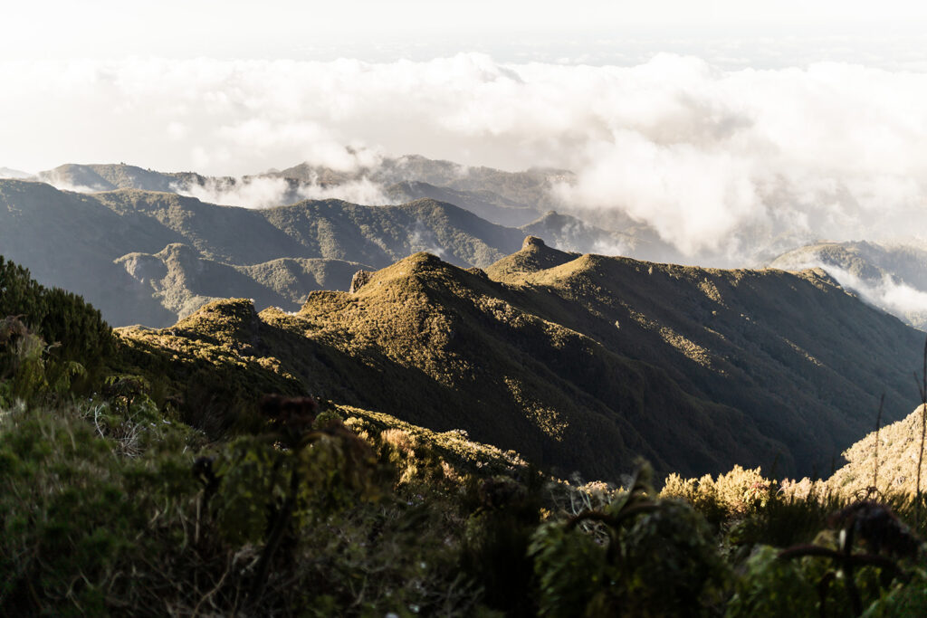 hiking trail in Madeira, Portugal